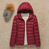 Stylische Winterjacke Mit Reißverschluss Und Kapuze Und Langen Ärmeln | Winter