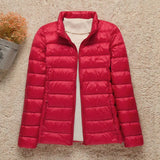 Stylische Winterjacke Mit Reißverschluss Und Kapuze Und Langen Ärmeln | Winter
